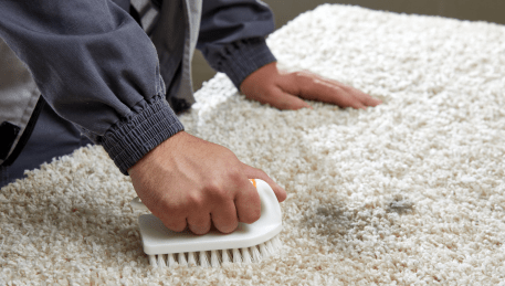 Professional Rug Cleaning Ashwood