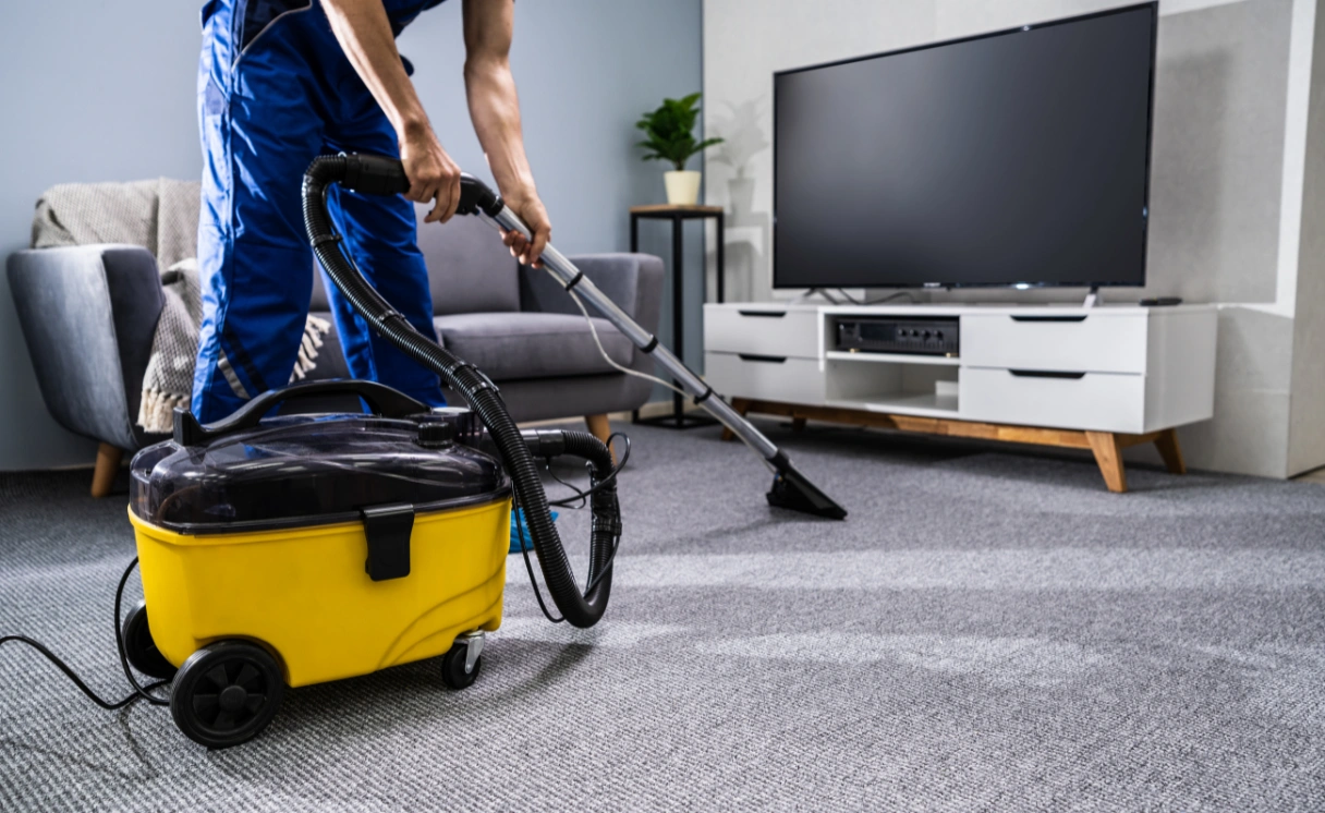 Extract Rug Cleaning Ashwood Contact Office
